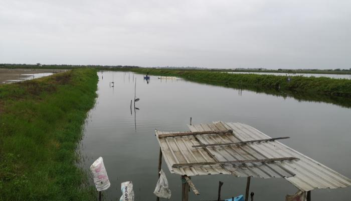 Camarones 1