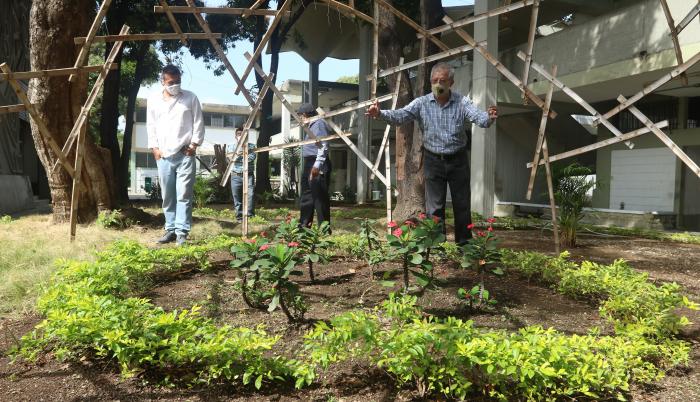 Siembra de plantas
