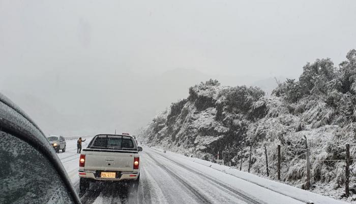 nieve