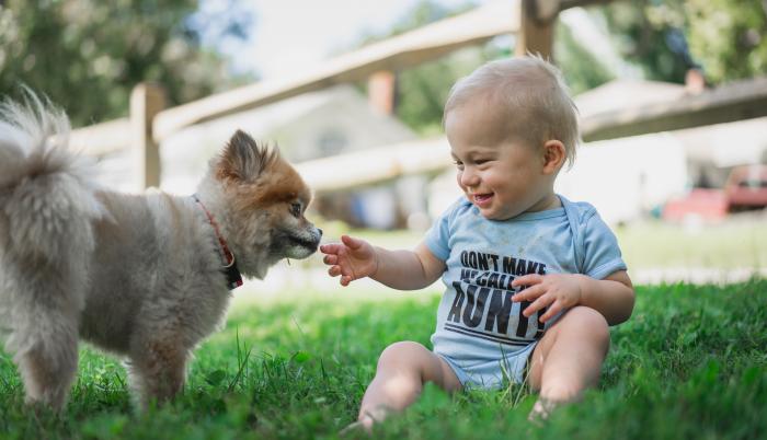 bebe-perro