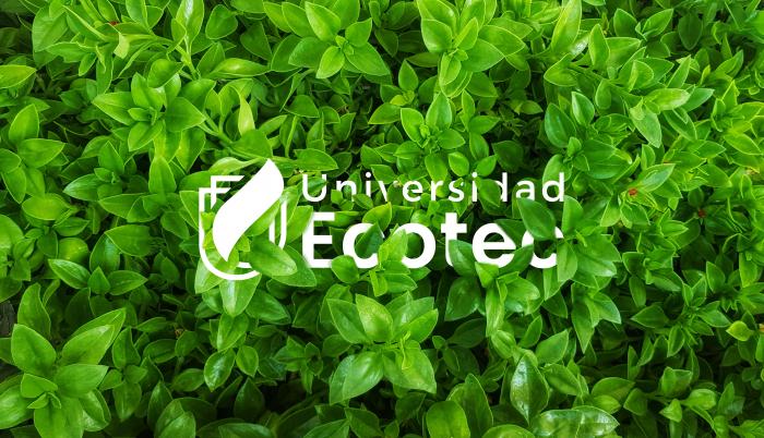 ecotec-carbono-neutro