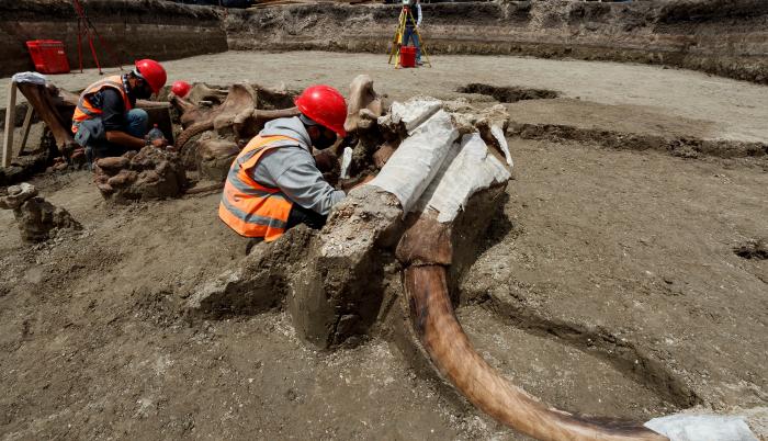 México_Arqueología_Yacimiento