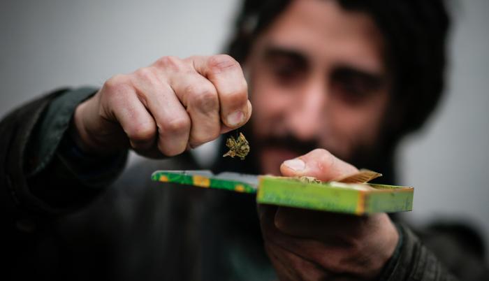 Cannabis