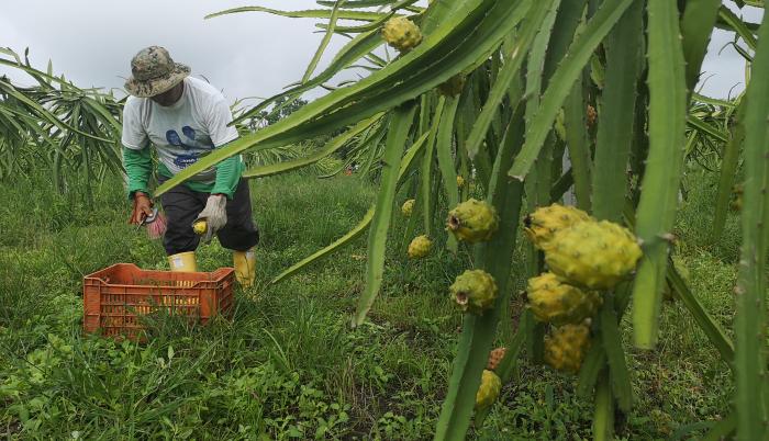 Agricultura