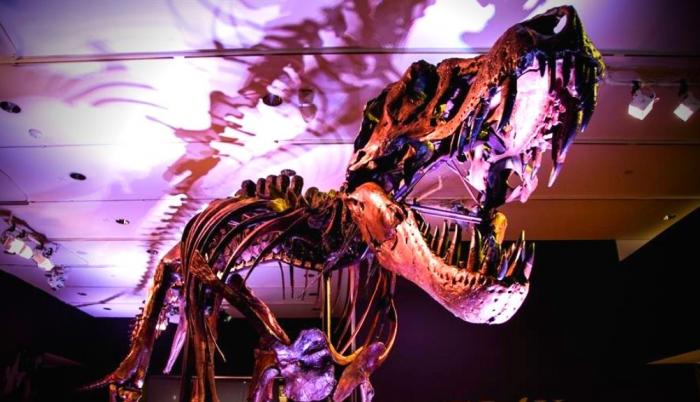 tiranosaurio-rex-stan-subasta-christies-dinosaurio-foto
