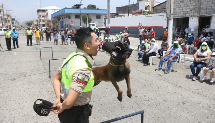 Perros adiestrados