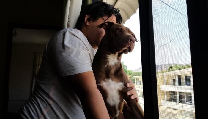 Ordenanza regula la tenencia de mascotas y previene el maltrato.