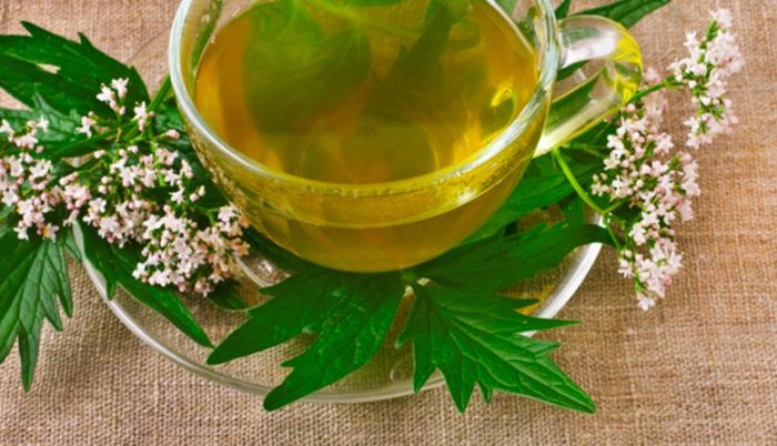 Té de valeriana