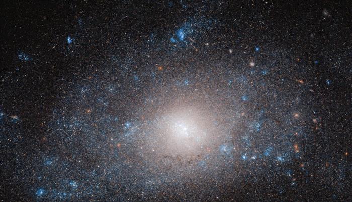 La galaxia NGC 5585