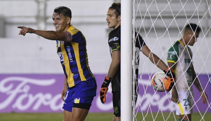 delfin libertadores