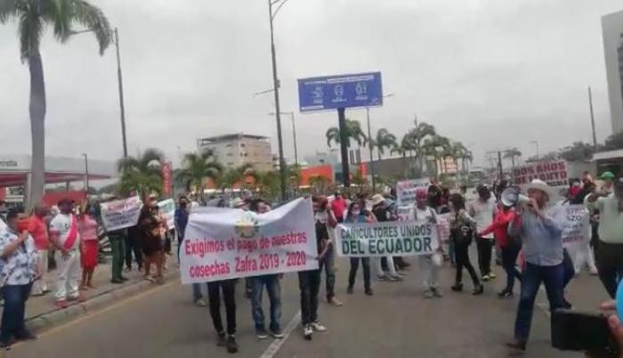 El lunes, cañicultores protestaron en Guayaquil.