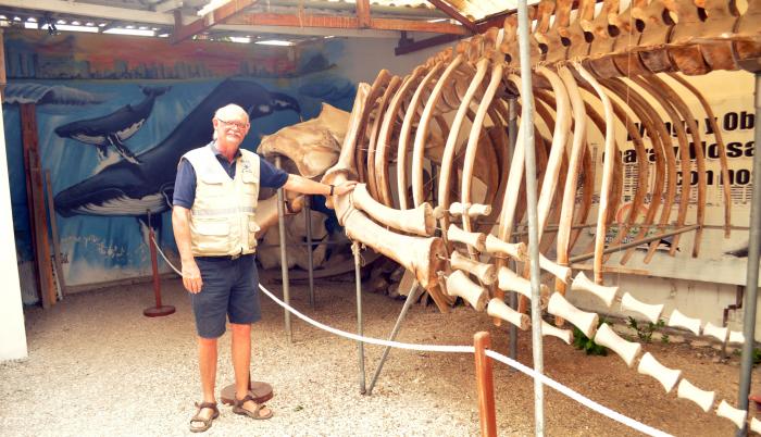 Museo de las Ballenas_Ben Hasse
