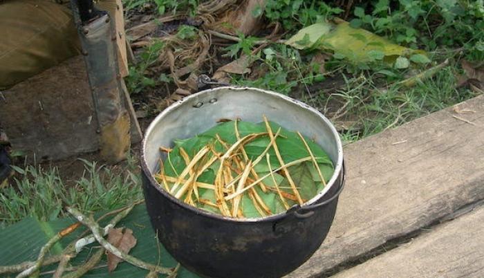 Imagen cedida por la Universidad Complutense de Madrid de la preparación de Ayahuasca en Ecuador.