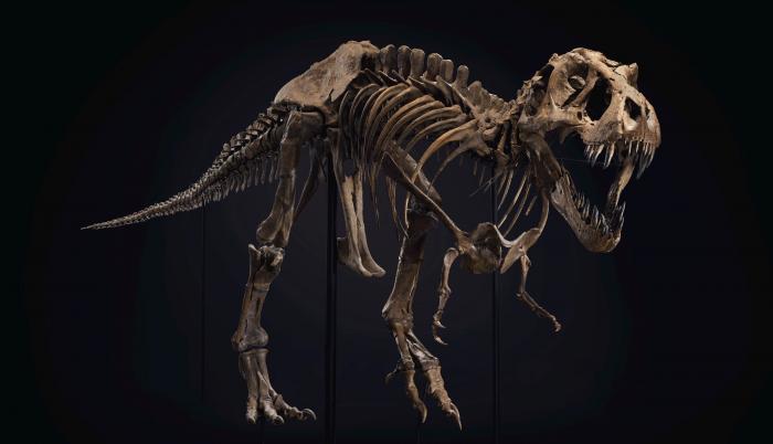 Dinosaurios