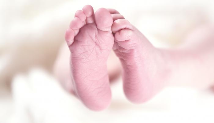baby-256857