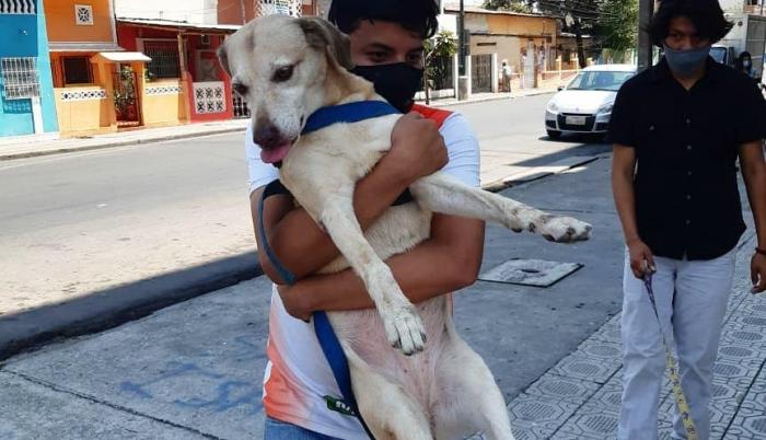 Voluntarios