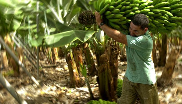 Bananco-productos-ecuador
