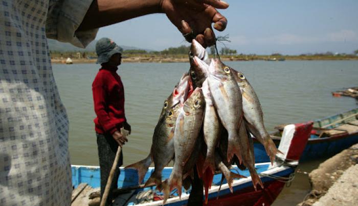 Pescado-afectado-china
