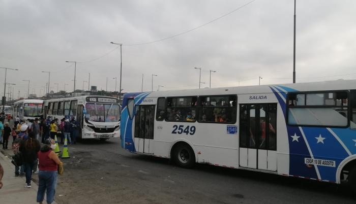 buses aglomerados 2