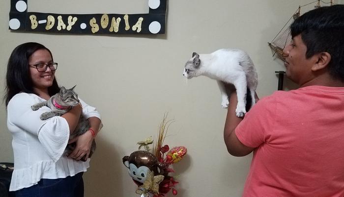 Mascotas_Gatos_2020