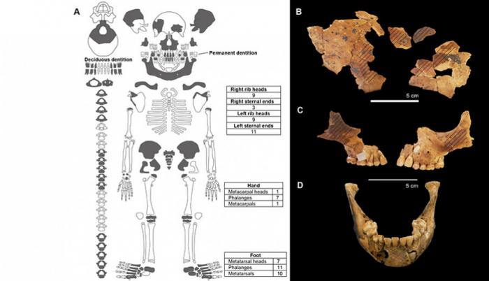 arqueologia-entierros-ninos-estudios