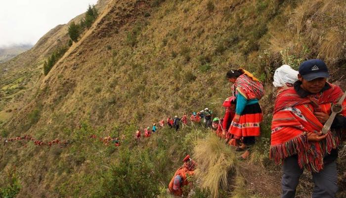 Queuña Raymi de Cusco, una fiesta para poblar de bosques las alturas