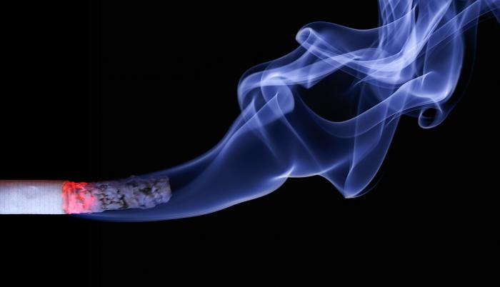 El humo del cigarrillo es perjudicial para la salud