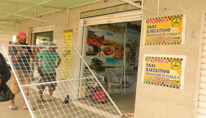 Inseguridad Plauas