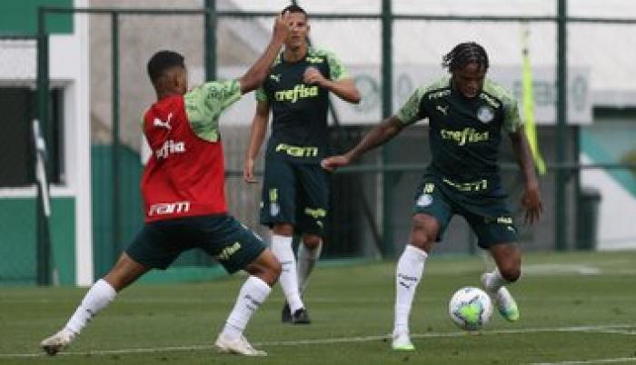 PALMEIRAS-DELFIN-CONTAGIOS-COPA