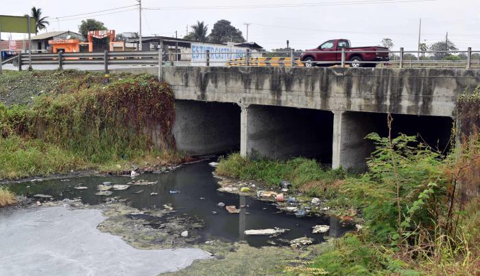 Estero Mojahuevo