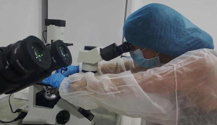 USFQ_Daragon BioMed_Proyecto de Biomedicina