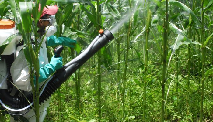 AGRO+insumos
