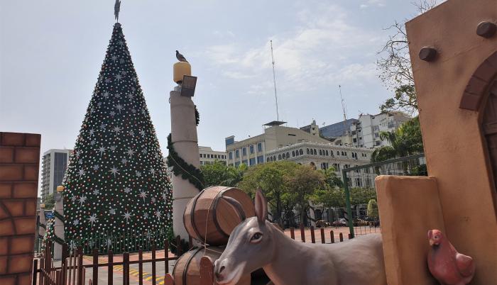 ÁRBOL
