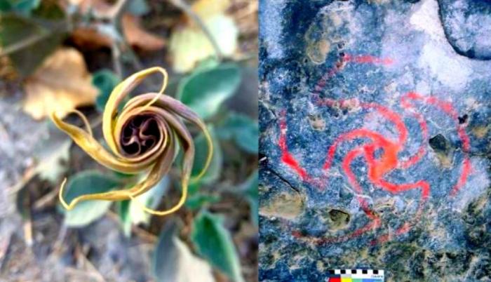 molinete-arte-rupestre-alucinogenos