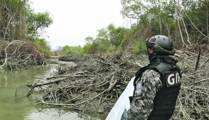 Hecho. Un agente del GIR observa una tala de manglar en el golfo.
