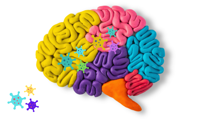 Cerebro-covid
