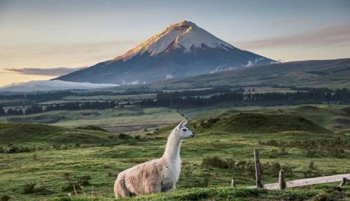 coordillera