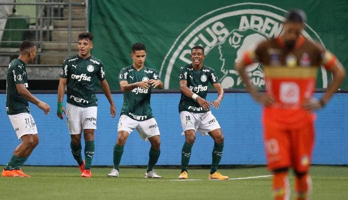 delfin palmeiras