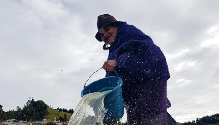 Tradición. Dolores Toalombo, riega la chacra (tierra), de esta manera se crea una fina lámina de sal.