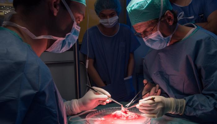 utero-transplante-espana-barcelona
