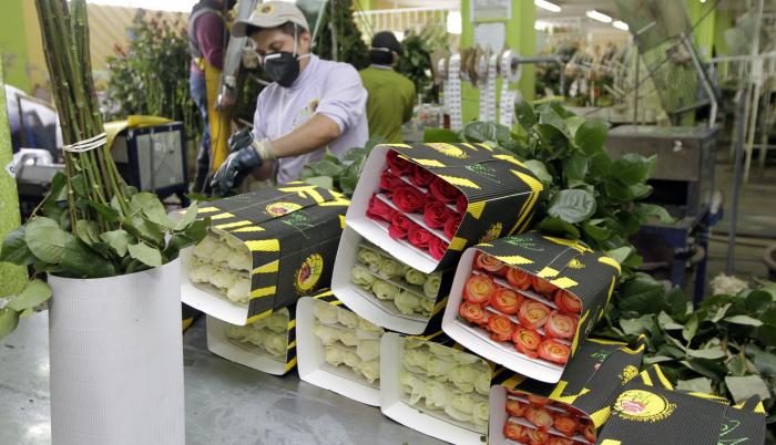Flores+SGP+Acuerdo comercial+estados unidos