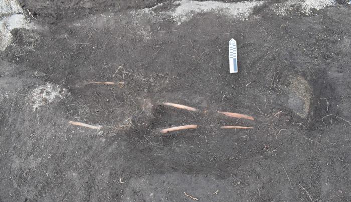 Arqueología