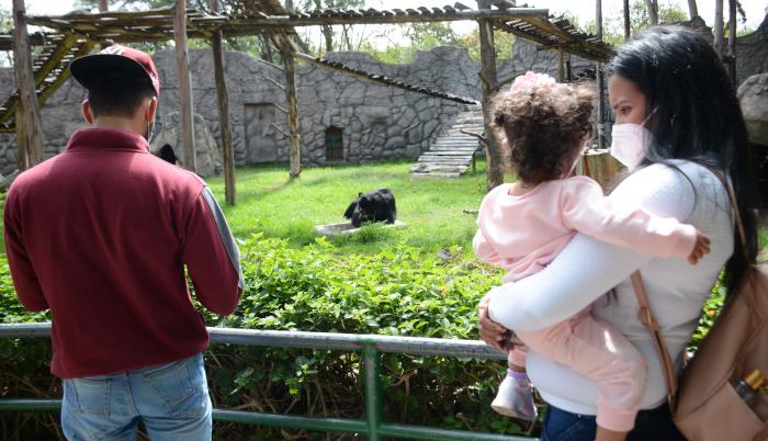ZOOLOGICO GUAYLLABAMBA(32940753)