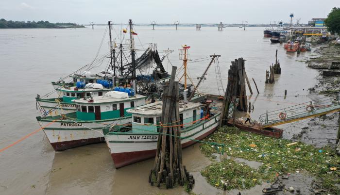 barcos