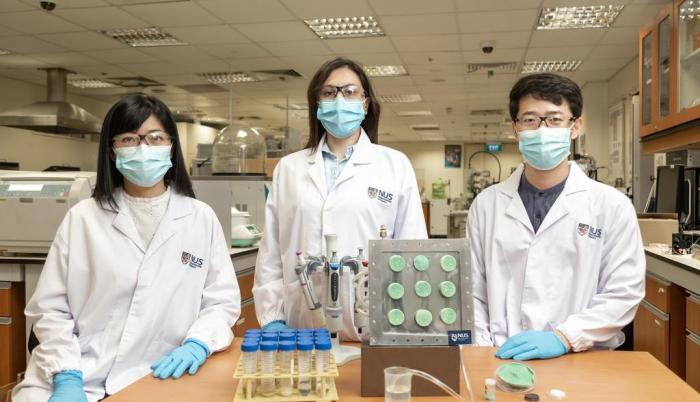 EuropaPress_3524225_aerogel_productor_agua_inventado_equipo_seis_investigadores_dirigido_ho