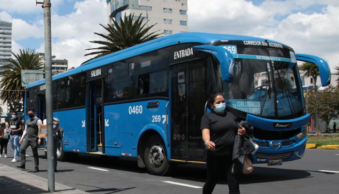 BUSES(32958311)