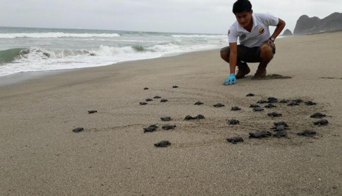 tortuguitas