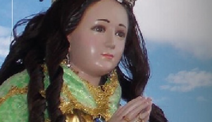CHAMIZUDA IMAGEN VIRGEN 2