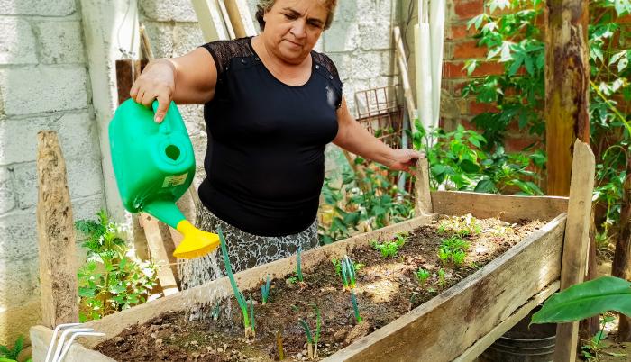 Bertha Revelo