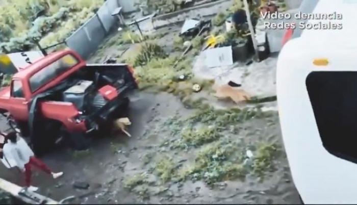 En redes sociales circuló un video de un supuesto maltrato animal.
